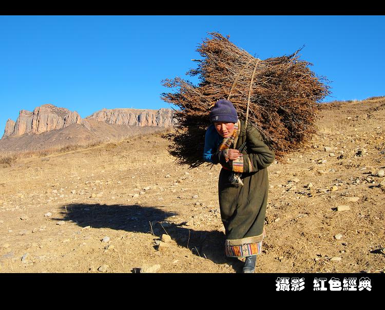 背柴女 摄影 红色经典