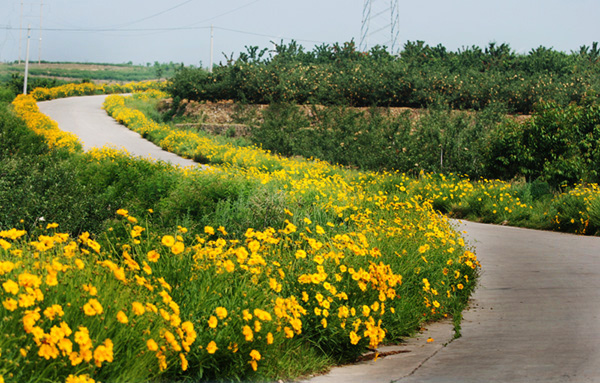 山路弯弯 摄影 xiaoseyou