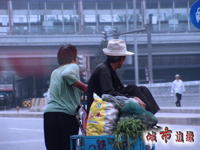 城市边缘 摄影 载小树