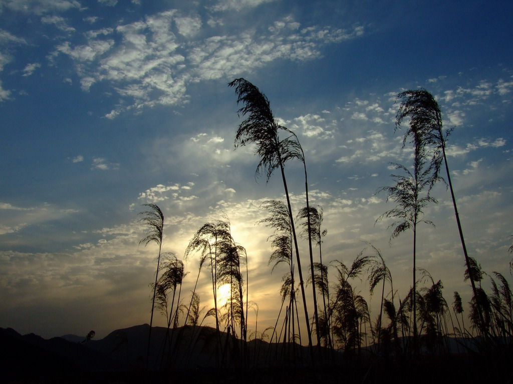 夕阳西下 摄影 鲤江