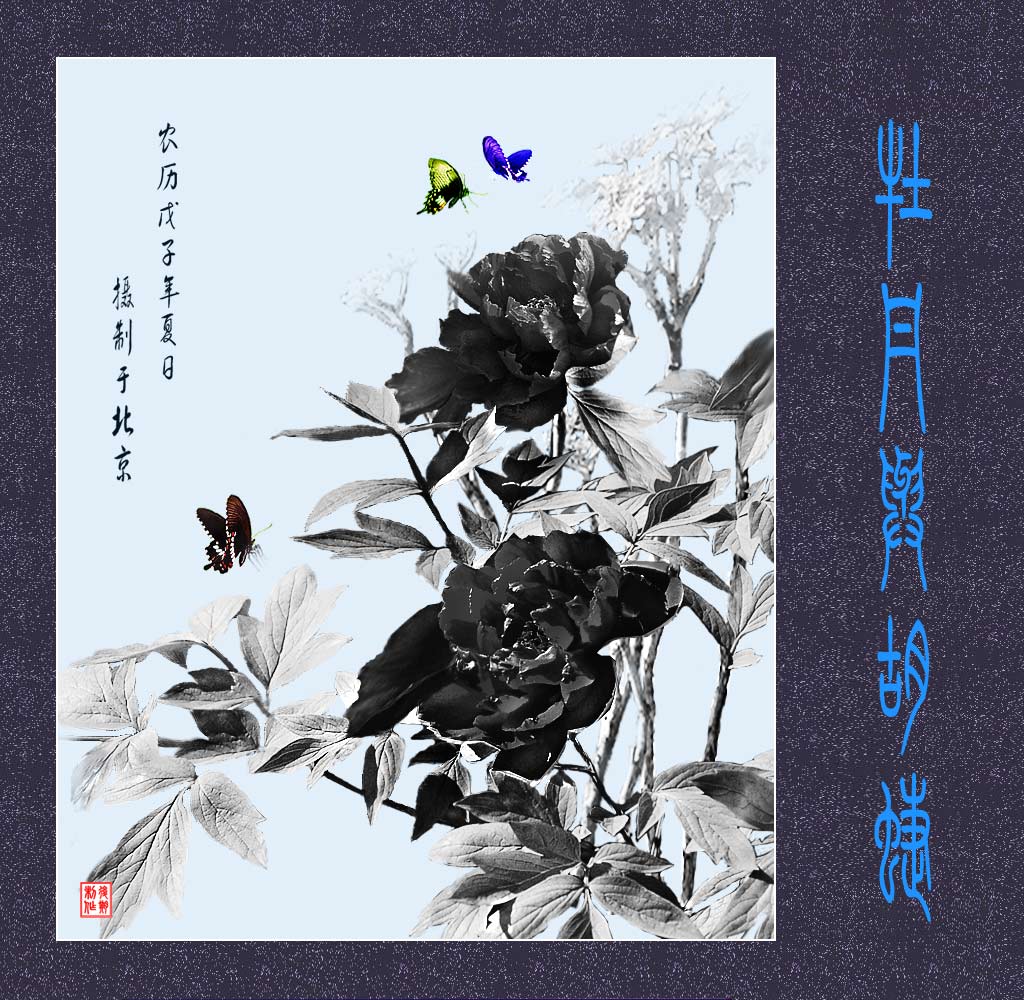 夏天的故事-13 摄影 yongli