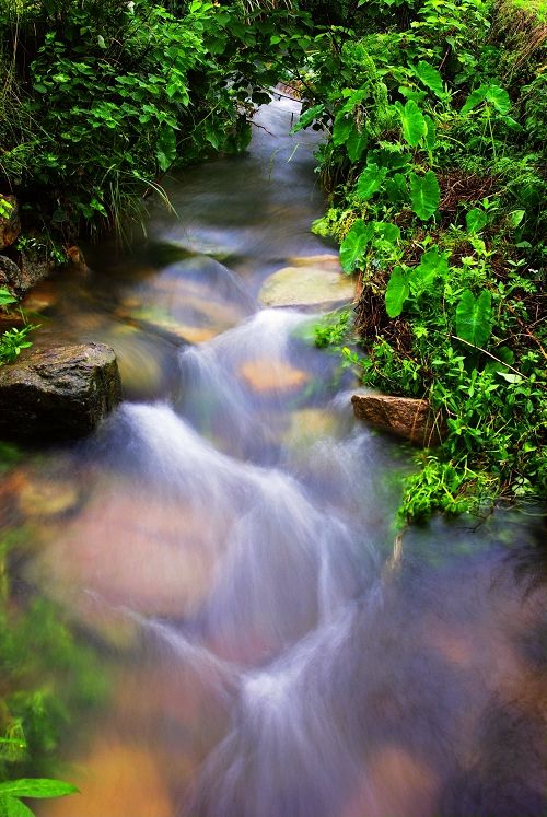 小溪流水 摄影 海山掠影