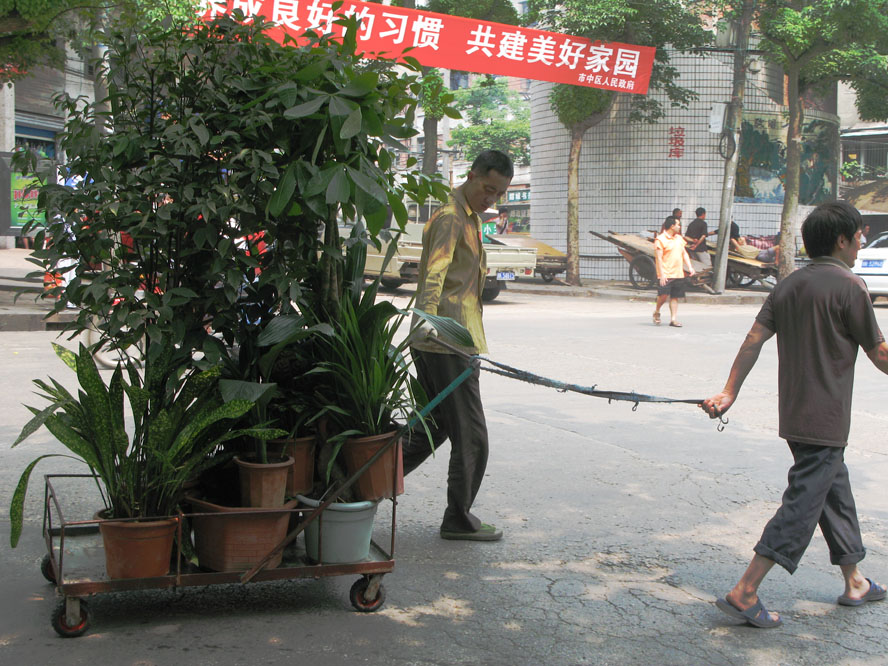 车小也得两人拉 摄影 快乐瞬间