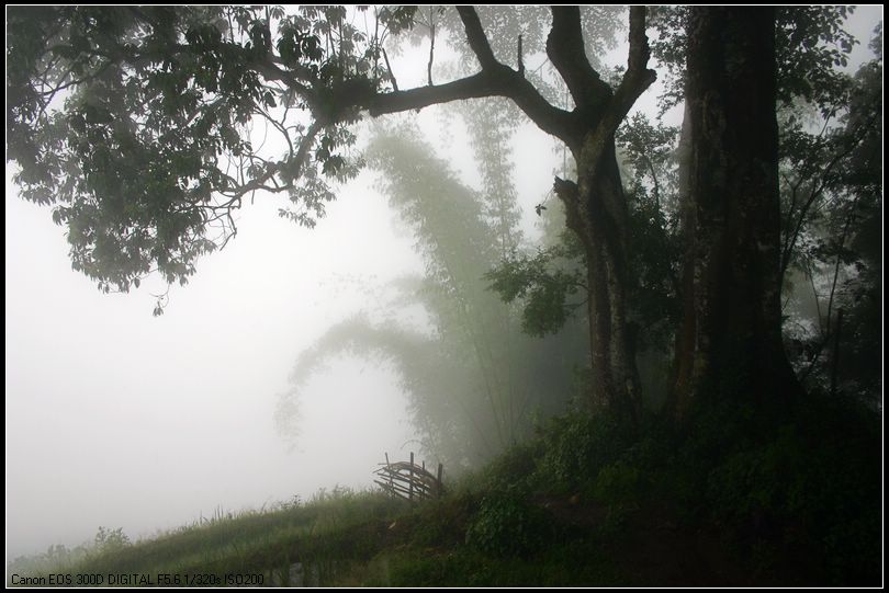 细雨朦朦 摄影 阿民