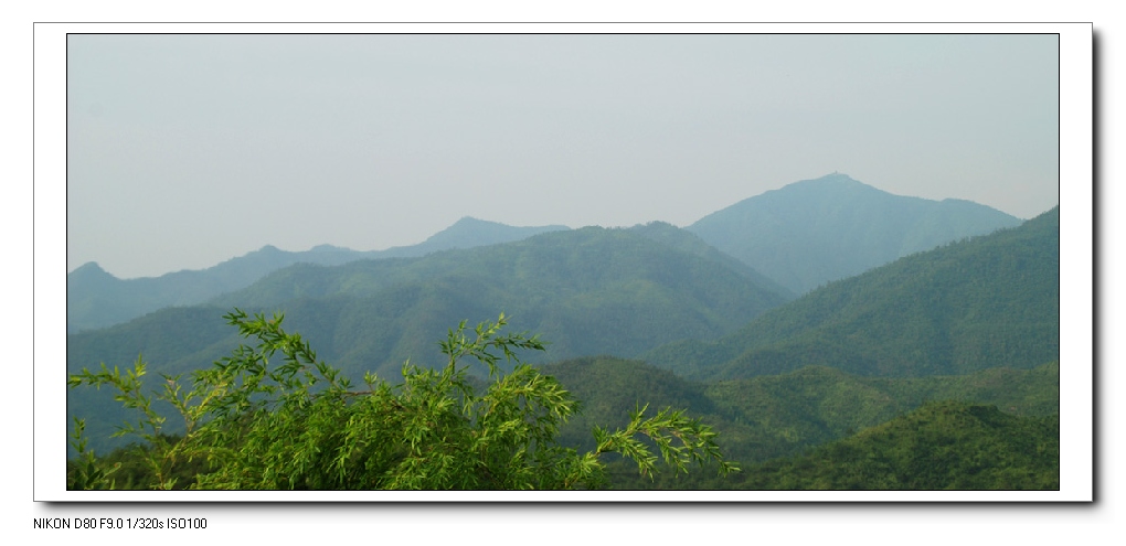 武夷翠色 摄影 武夷山泉