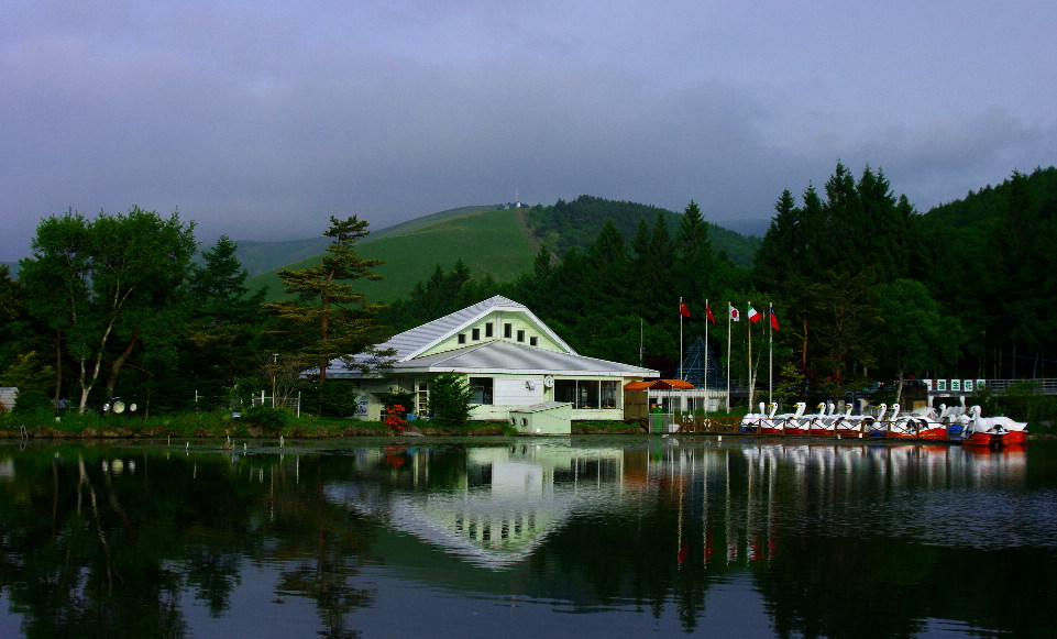 白桦湖畔小景 摄影 美香