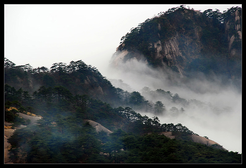 云漫黄山 摄影 青鸟