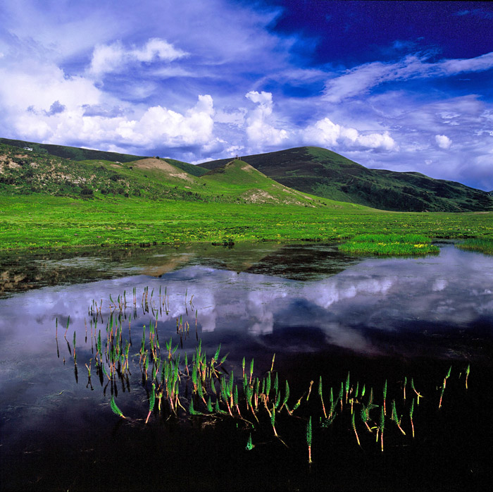 纳塔湖湿地 摄影 那人