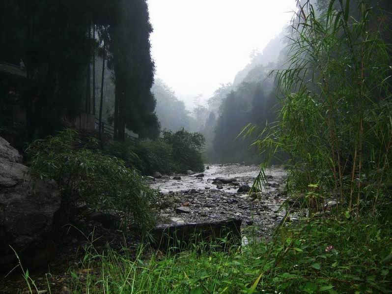 四川之旅随拍（5）----幽幽深谷 摄影 岁月留痕.