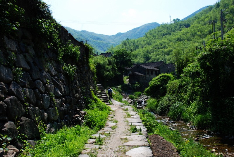 山路弯弯（一） 摄影 叶韵