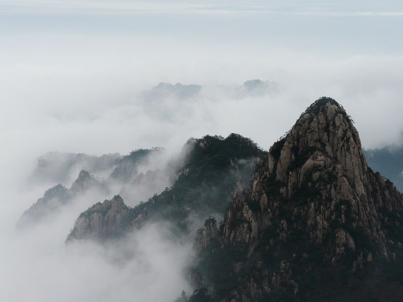 黄山之一 摄影 悦诗风吟