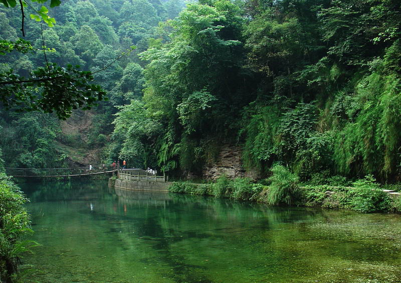 峨眉山清音河 摄影 晨风轻拂