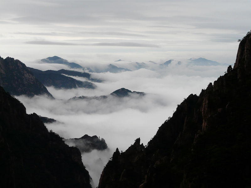 黄山云海 摄影 悦诗风吟