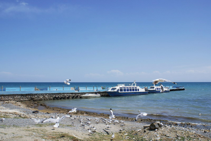 青海湖鸟岛码头 摄影 源上人