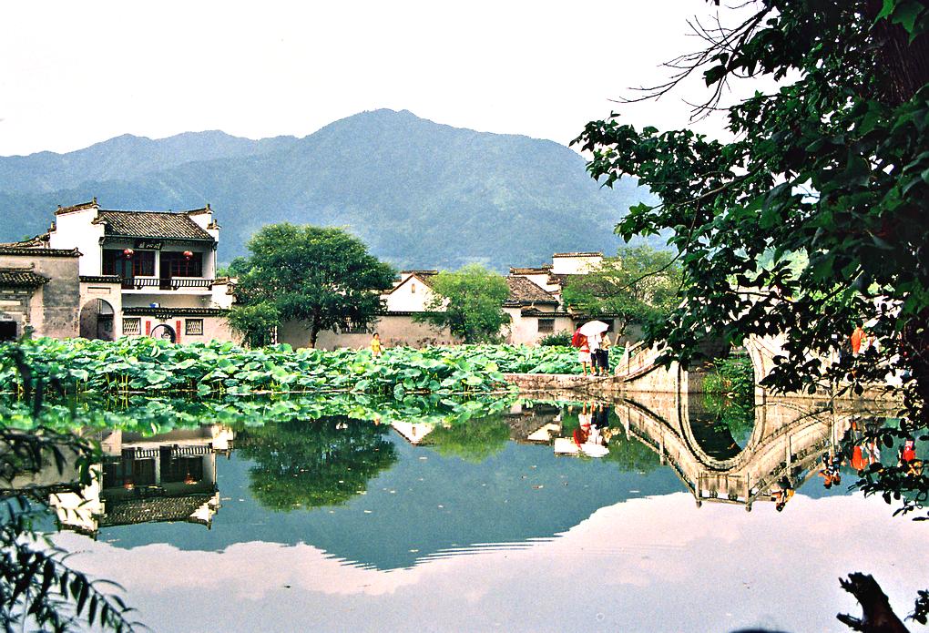 宏村之夏 摄影 清风书影