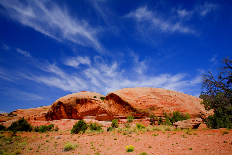 Canyonlands National Park/Utah 摄影 yuhan