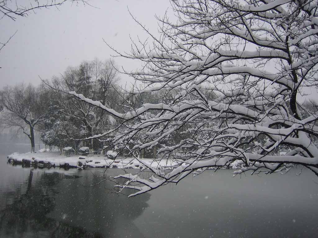 鹃岛雪景 摄影 老树临风