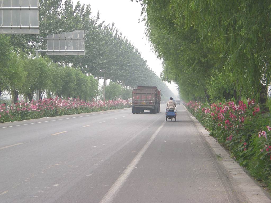 保阜路上的姹紫嫣红 摄影 隔世红颜