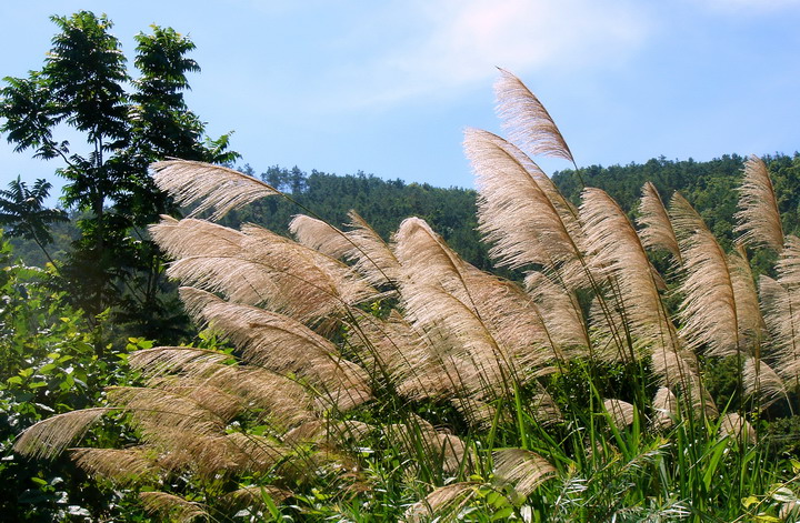 天意 摄影 山云海月