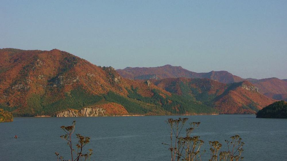 碧湖秋山 摄影 紫色叶子