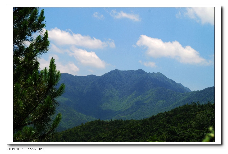 鸡公岽远眺 摄影 武夷山泉