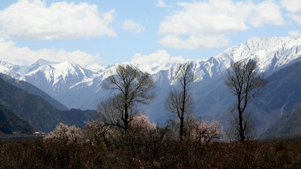 2008西藏行—雪域的春天 摄影 三人