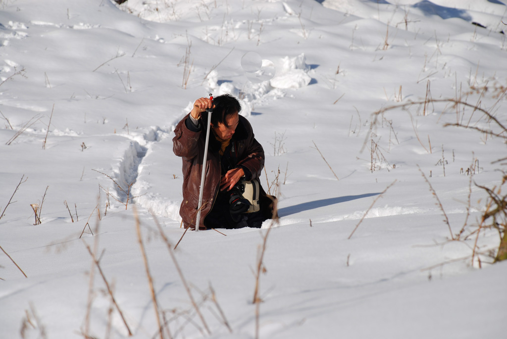 过完雪山、草地怎么办 摄影 曲木子撒