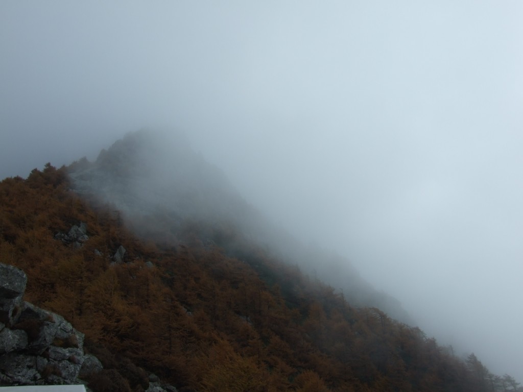 雨中太白 摄影 南山村