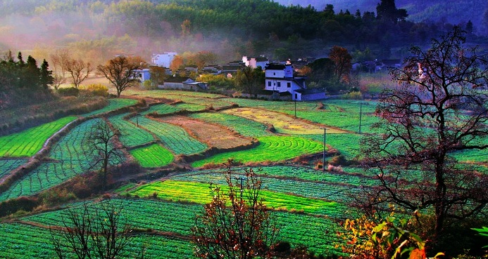 秋天的早晨· 摄影 庐阳客