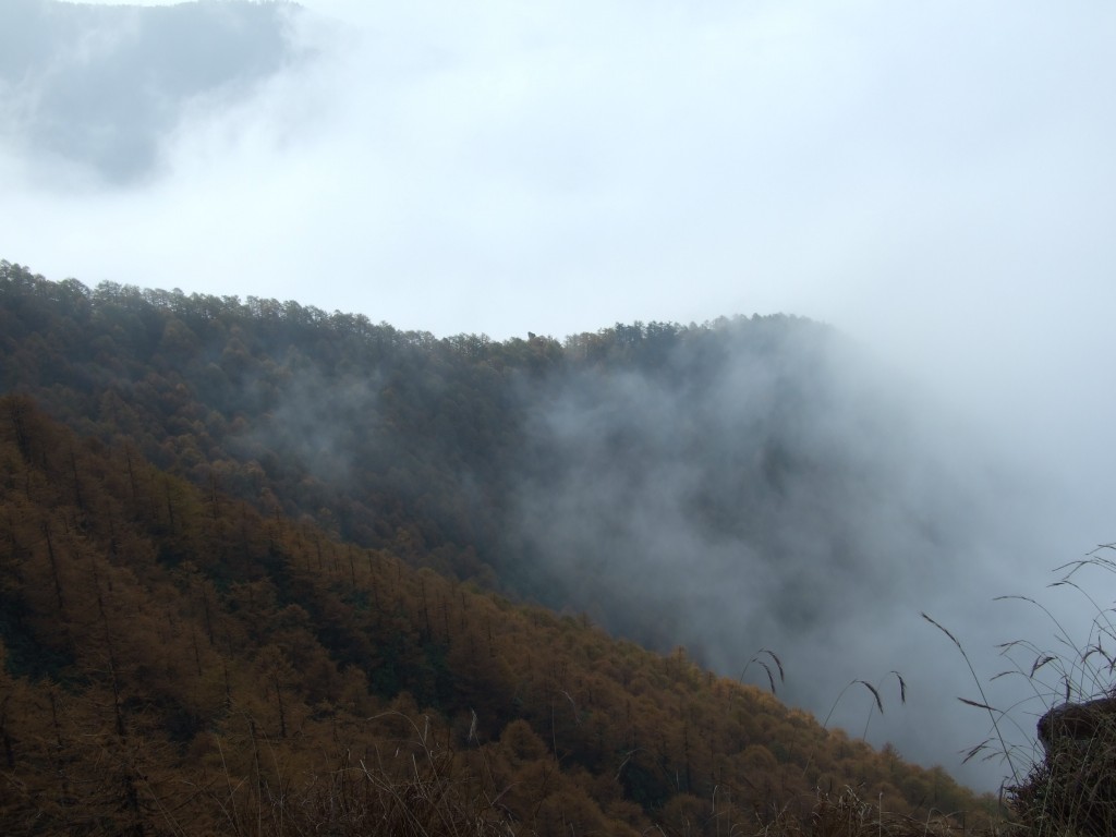 雨中太白 摄影 南山村