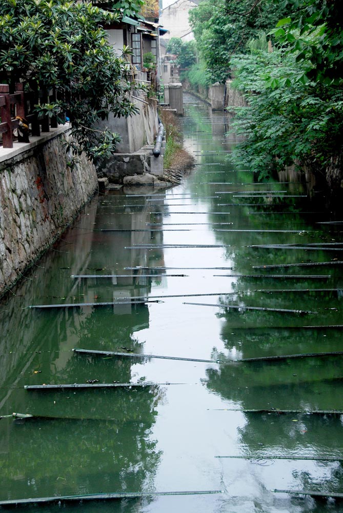 水弄堂系列------小河韵律 摄影 52sheying