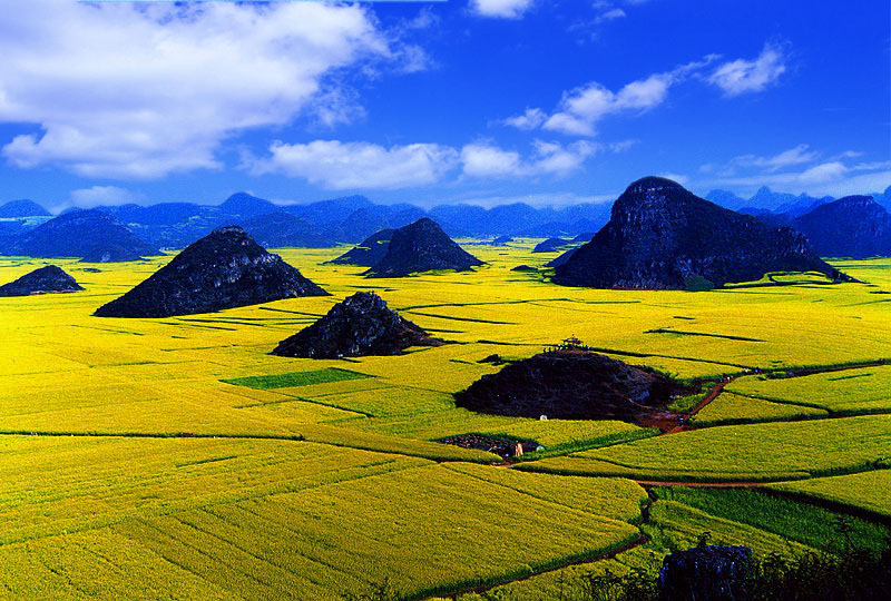 锦绣大地 摄影 桃花江