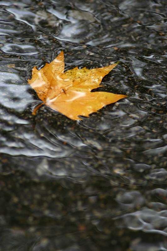 雨天物语 摄影 喀布尔人