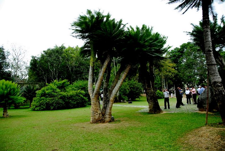 版纳植物园2 摄影 天香阁主