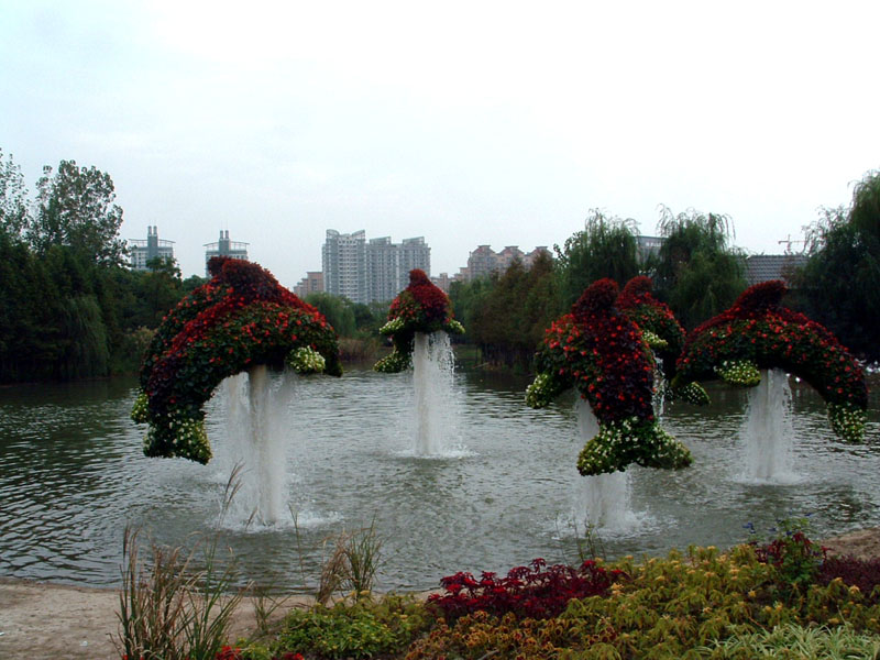 上海国际立体花坛展览 摄影 风潇雪飞