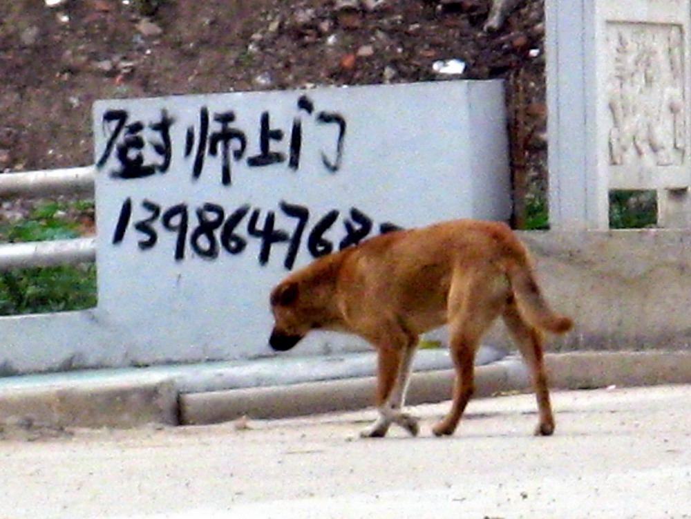 求职应聘--“切” 摄影 华绿