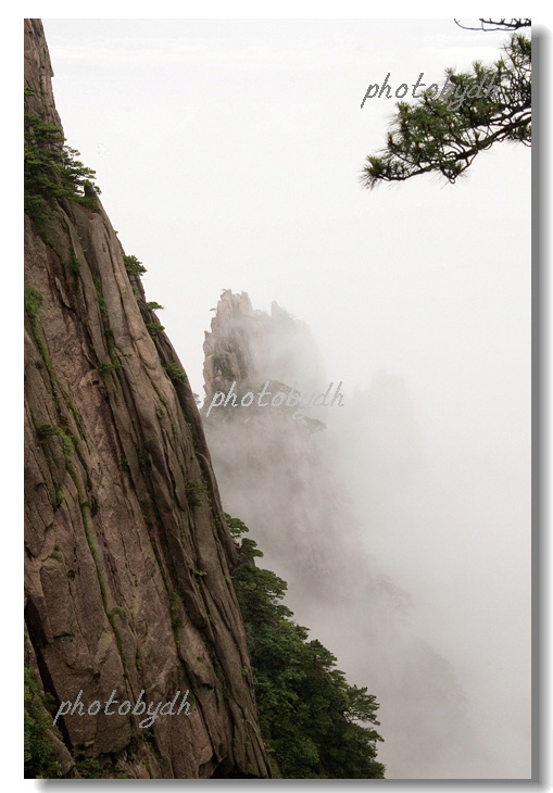 黄山随拍 摄影 大海大