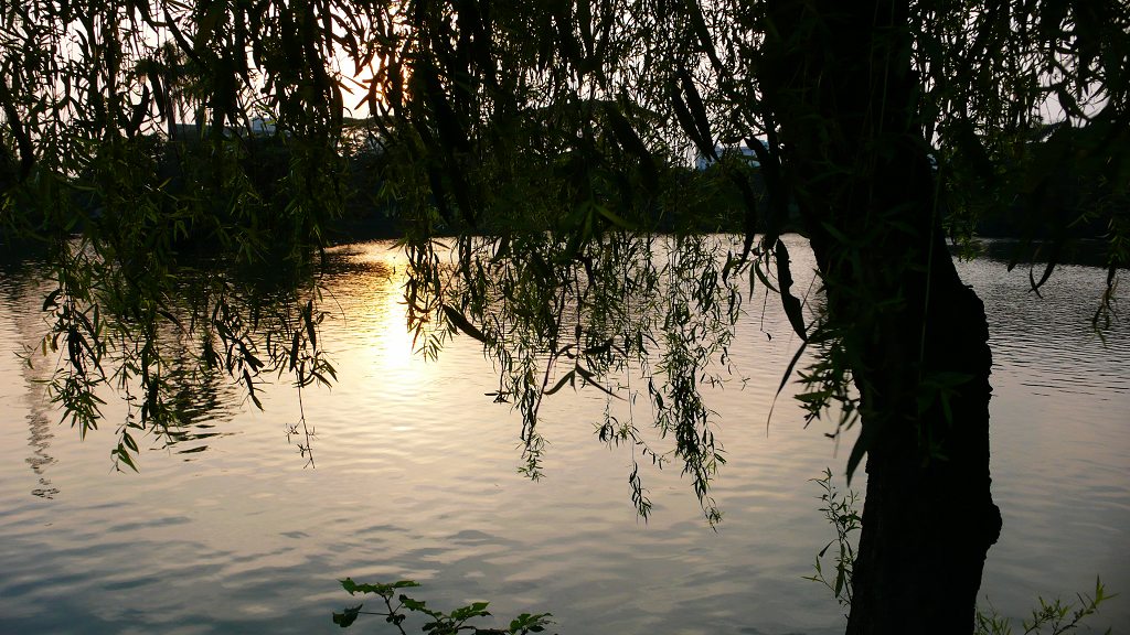 夕照 摄影 爱琴海岸