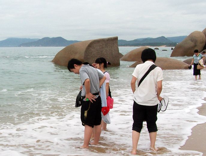 看海 摄影 雨v季