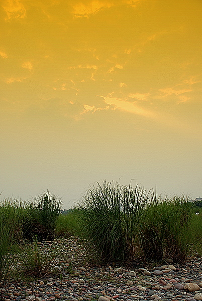 太阳岛 摄影 空即是摄