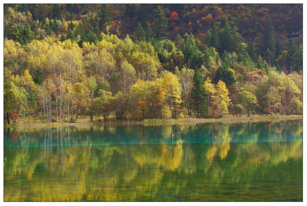 九寨风景 摄影 山猪