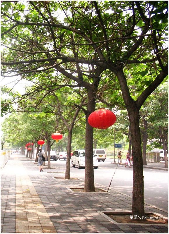 红日子 摄影 风雨悠然