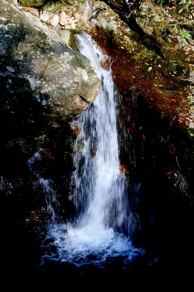 三溪美景 摄影 金美纲