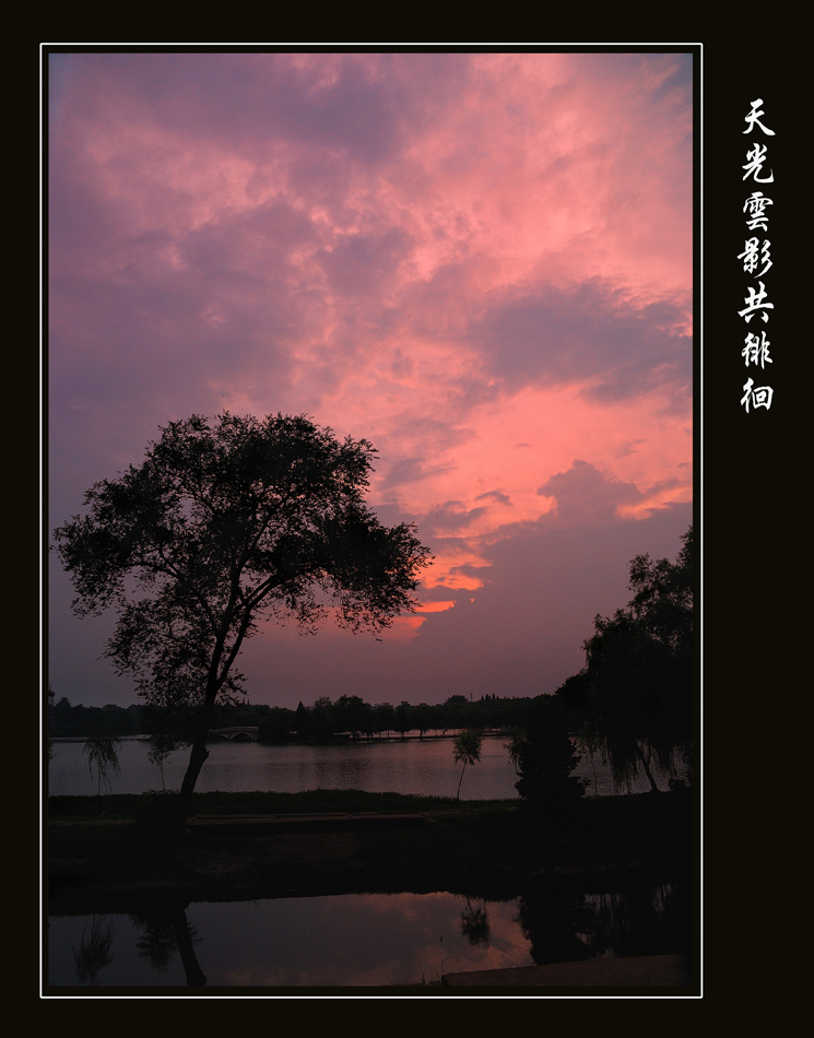 天光云影共徘徊 摄影 qsl772