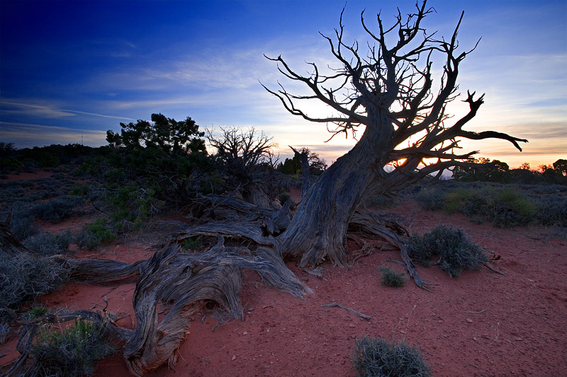 Canyonlands National Park/Utah 摄影 yuhan