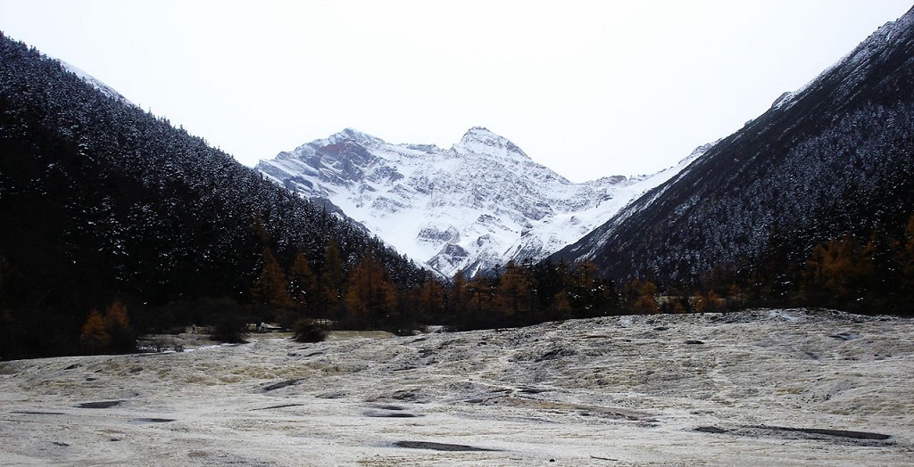 雪山 摄影 山猪