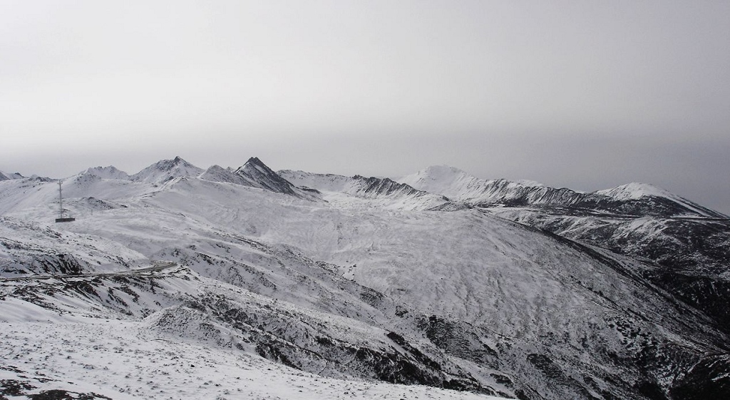 雪景 摄影 山猪