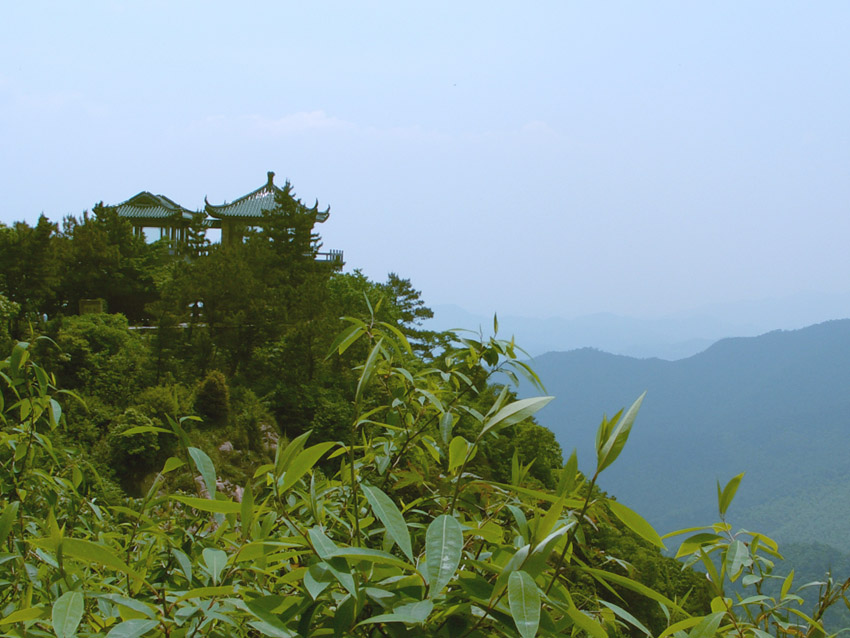 莫干山风光 摄影 若木