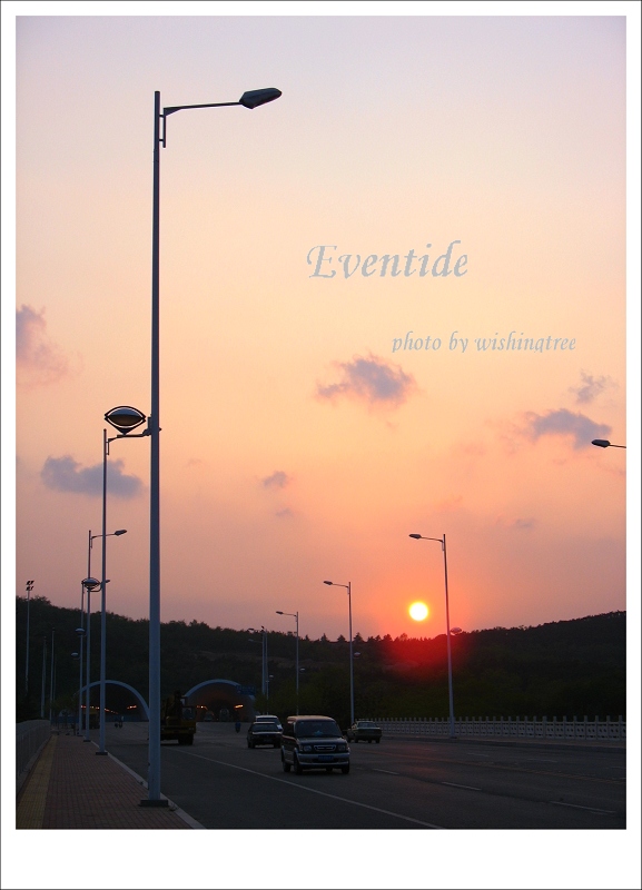 Eventide 摄影 许愿树