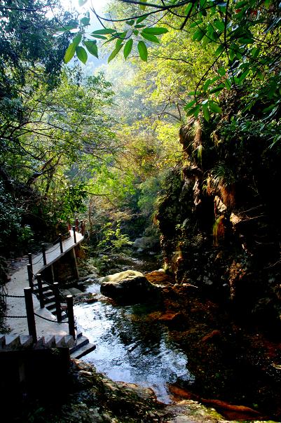 三溪美景 摄影 金美纲